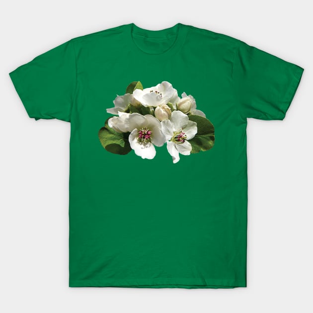 Apple Blossoms - Closeup of Apple Blossoms T-Shirt by SusanSavad